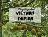 vietnam-durian