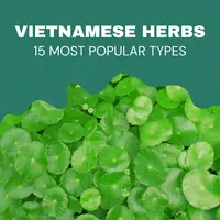 vietnamese-herbs