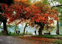 vietnam-classic-beauty-tours